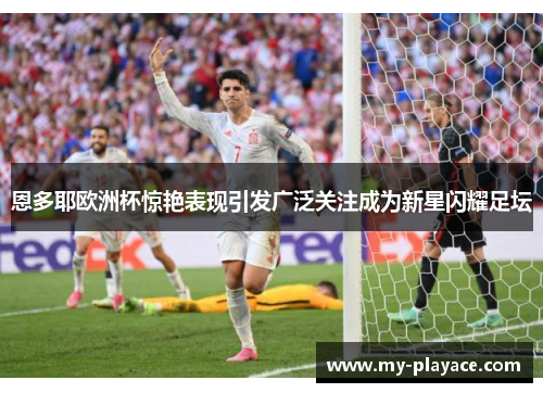 恩多耶欧洲杯惊艳表现引发广泛关注成为新星闪耀足坛